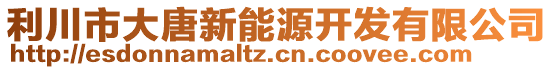 利川市大唐新能源開發(fā)有限公司