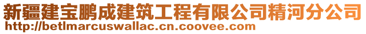 新疆建寶鵬成建筑工程有限公司精河分公司