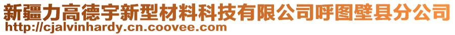 新疆力高德宇新型材料科技有限公司呼圖壁縣分公司