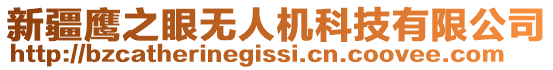 新疆鷹之眼無人機科技有限公司