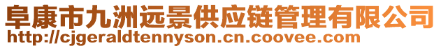 阜康市九洲遠景供應鏈管理有限公司