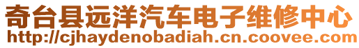 奇臺(tái)縣遠(yuǎn)洋汽車電子維修中心