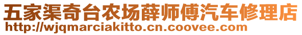 五家渠奇臺(tái)農(nóng)場(chǎng)薛師傅汽車修理店