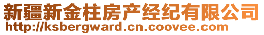 新疆新金柱房產(chǎn)經(jīng)紀(jì)有限公司