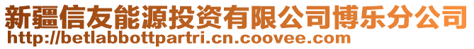 新疆信友能源投資有限公司博樂分公司