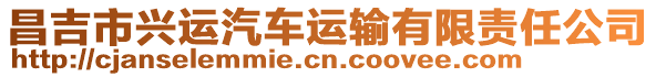 昌吉市興運(yùn)汽車運(yùn)輸有限責(zé)任公司