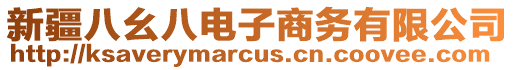 新疆八幺八電子商務有限公司