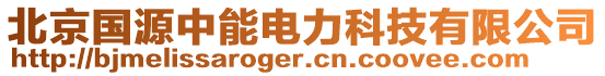 北京國源中能電力科技有限公司