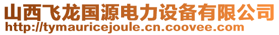 山西飛龍國(guó)源電力設(shè)備有限公司