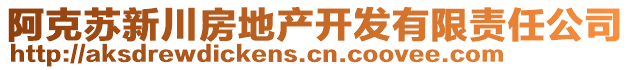 阿克蘇新川房地產(chǎn)開(kāi)發(fā)有限責(zé)任公司