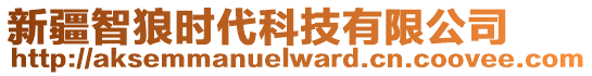 新疆智狼時(shí)代科技有限公司