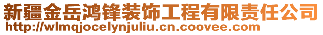 新疆金岳鴻鋒裝飾工程有限責(zé)任公司