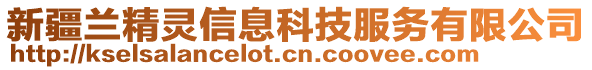 新疆兰精灵信息科技服务有限公司