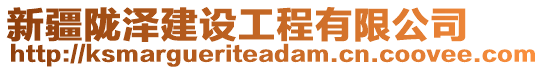 新疆隴澤建設工程有限公司