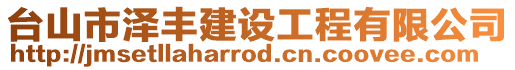 臺山市澤豐建設工程有限公司