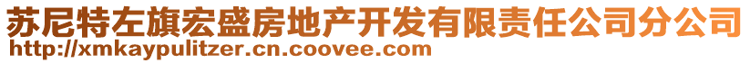 蘇尼特左旗宏盛房地產(chǎn)開發(fā)有限責任公司分公司