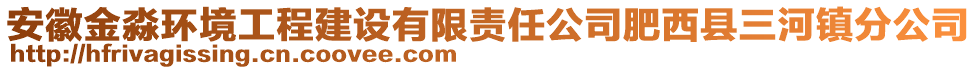 安徽金淼環(huán)境工程建設(shè)有限責(zé)任公司肥西縣三河鎮(zhèn)分公司