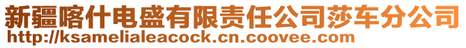 新疆喀什電盛有限責任公司莎車分公司