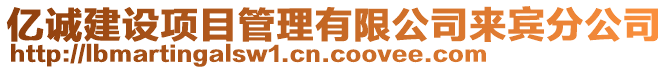 億誠(chéng)建設(shè)項(xiàng)目管理有限公司來(lái)賓分公司