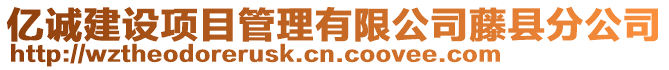 億誠建設項目管理有限公司藤縣分公司