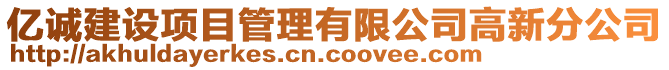 億誠建設項目管理有限公司高新分公司