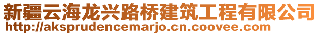 新疆云海龍興路橋建筑工程有限公司