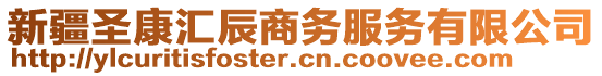 新疆圣康匯辰商務(wù)服務(wù)有限公司