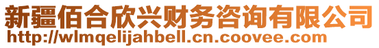 新疆佰合欣興財務咨詢有限公司