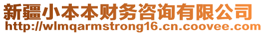 新疆小本本財務(wù)咨詢有限公司