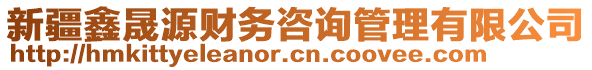 新疆鑫晟源財(cái)務(wù)咨詢管理有限公司