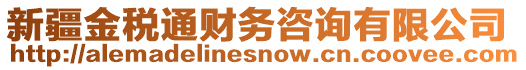 新疆金稅通財務咨詢有限公司