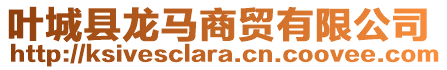 葉城縣龍馬商貿(mào)有限公司