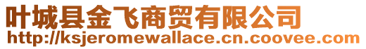 葉城縣金飛商貿(mào)有限公司