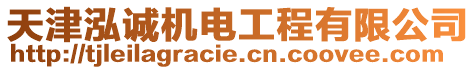 天津泓誠(chéng)機(jī)電工程有限公司