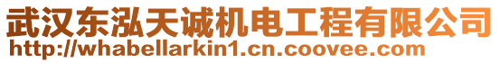 武漢東泓天誠(chéng)機(jī)電工程有限公司