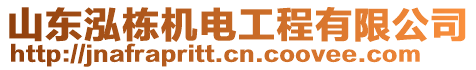 山東泓棟?rùn)C(jī)電工程有限公司