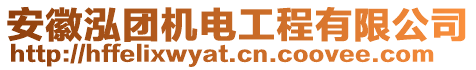 安徽泓團機電工程有限公司