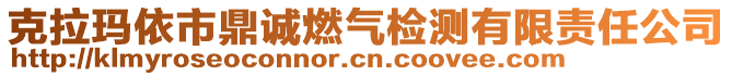 克拉瑪依市鼎誠(chéng)燃?xì)鈾z測(cè)有限責(zé)任公司