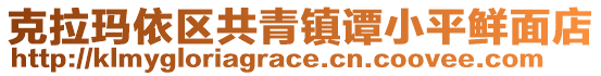 克拉瑪依區(qū)共青鎮(zhèn)譚小平鮮面店