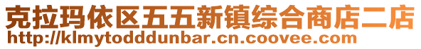 克拉瑪依區(qū)五五新鎮(zhèn)綜合商店二店