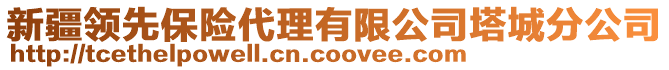 新疆領先保險代理有限公司塔城分公司