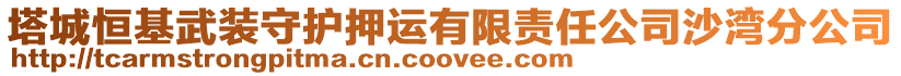 塔城恒基武裝守護押運有限責任公司沙灣分公司