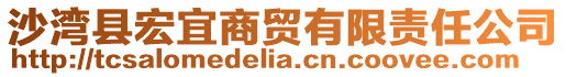 沙灣縣宏宜商貿(mào)有限責(zé)任公司