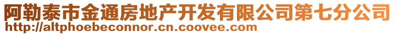 阿勒泰市金通房地产开发有限公司第七分公司