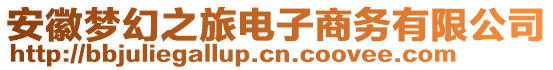 安徽夢幻之旅電子商務(wù)有限公司