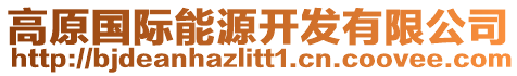 高原國(guó)際能源開發(fā)有限公司