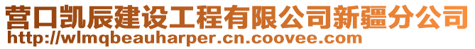 营口凯辰建设工程有限公司新疆分公司