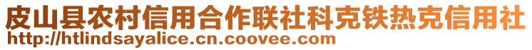 皮山縣農(nóng)村信用合作聯(lián)社科克鐵熱克信用社