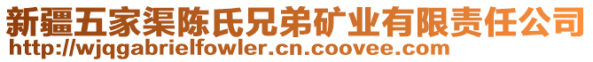 新疆五家渠陈氏兄弟矿业有限责任公司