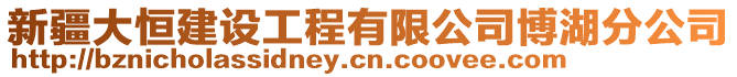 新疆大恒建設(shè)工程有限公司博湖分公司